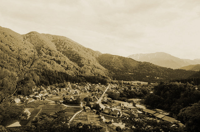 kishu19055_01.jpg