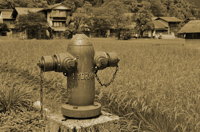 kishu1924_01.jpg