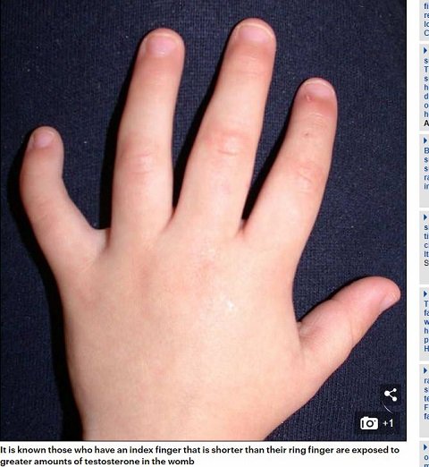 人差し指よりも長い薬指を持つ子どもは自己中で攻撃的!?  モノを独り占めする傾向…実験で判明！の画像2
