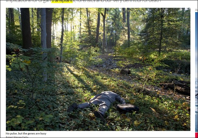 死後48時間生き続ける遺伝子が発見される! 驚愕の「デスサバイバル遺伝子」が死の定義に革命を起こす!の画像1