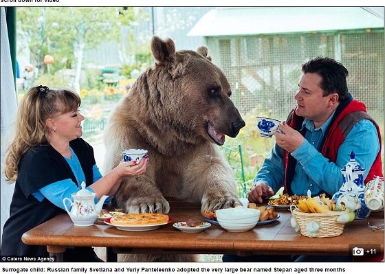 体長2メートルの巨大ヒグマと暮らす夫婦 23年間家族のようにクマと暮らす ロシア