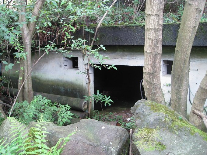 静岡県のレア廃墟へ潜入… 実は完成していた「未完成ループ橋」！の画像3