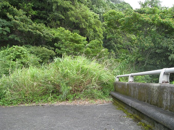 静岡県のレア廃墟へ潜入… 実は完成していた「未完成ループ橋」！の画像6