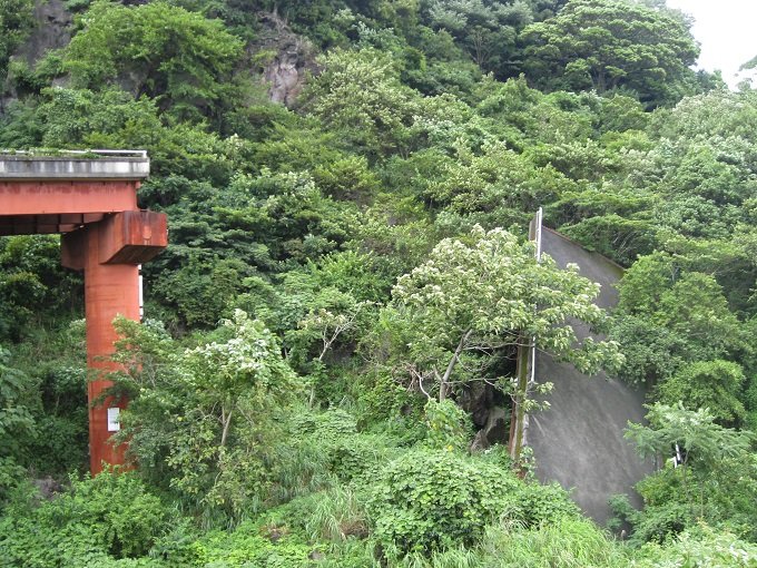 静岡県のレア廃墟へ潜入… 実は完成していた「未完成ループ橋」！の画像18