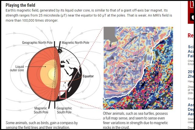【ガチ】人間の「第六感」を著名科学者が発見! 脳内の「磁覚=シックスセンス」の存在が実験で証明される!の画像2