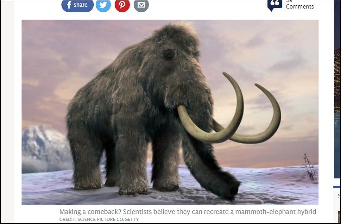 ハーバード大教授が「2年以内にマンモス復活させる」宣言! 研究の真の目的について理学博士が緊急解説の画像1