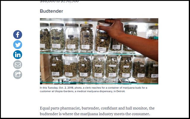 大麻解禁で2020年までに25万人の雇用が生まれると判明! パナソニックと同等、年収2800万円…主な仕事内容5つ!の画像4