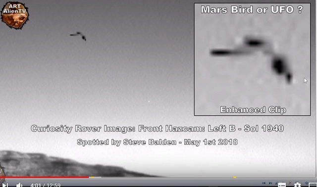 marsbird_02.jpg
