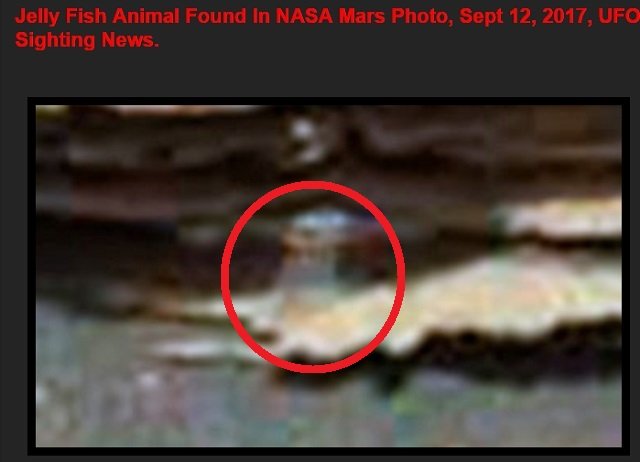 火星で完璧すぎる「半透明火星クラゲ」が激写される! 世界的UFO研究家ウェアリング氏の復帰第一号!の画像4