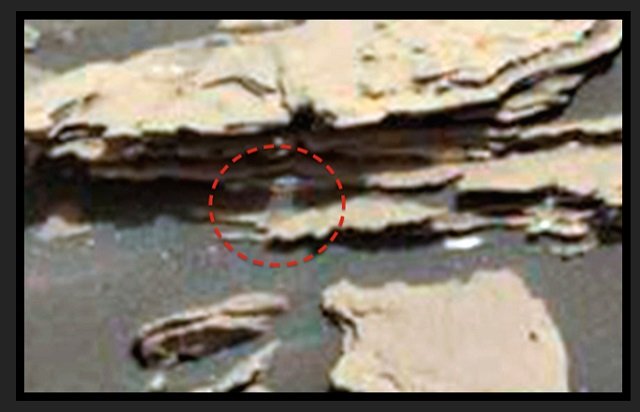 火星で完璧すぎる「半透明火星クラゲ」が激写される! 世界的UFO研究家ウェアリング氏の復帰第一号!の画像3