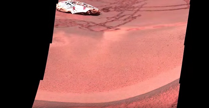 marsshrimp.jpg