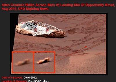 marsshrimp2.jpg