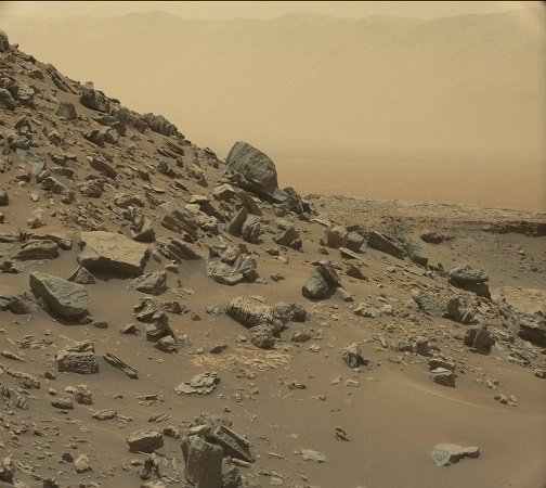 【画像】火星で「始祖鳥」の化石を発見!? 3億年前の火星は生物たちの楽園だった可能性の画像1