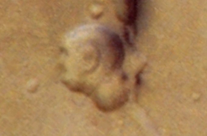 火星で「ブッダ」が発見される?グーグルマーズにクッキリ?仏教は火星の宗教だった!?の画像1