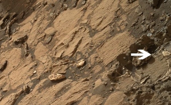【衝撃】火星で人間の全身遺骨を発見! 王冠までハッキリ、「火星文明の王」か!?の画像3
