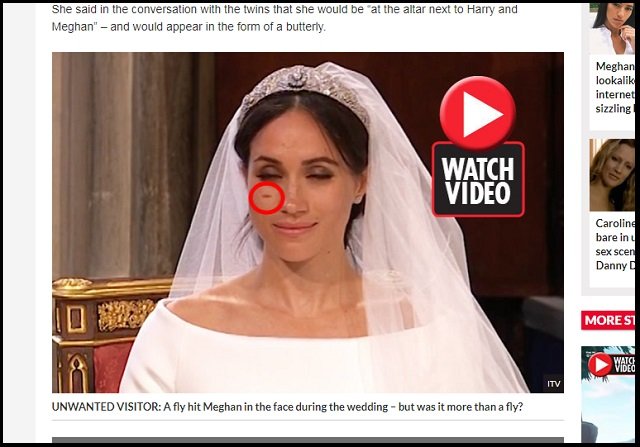 【衝撃】ヘンリー王子とメーガンの挙式に「転生ダイアナ妃」が参列していたことが判明! 新婦に祝福のキスも… 麗しい奇跡に英紙興奮の画像2
