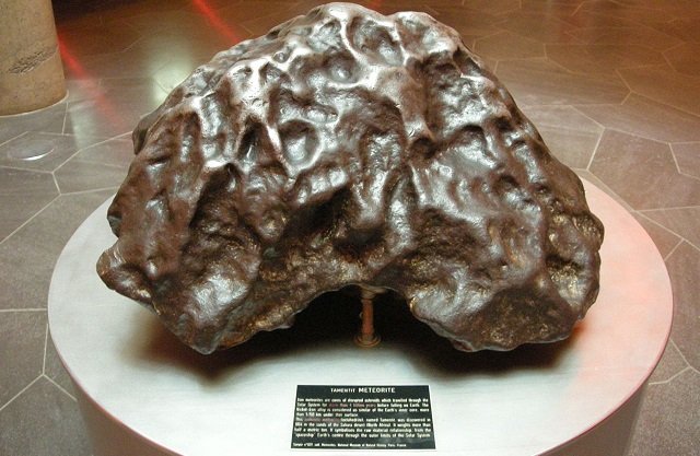 metallicegg0120_03.jpg