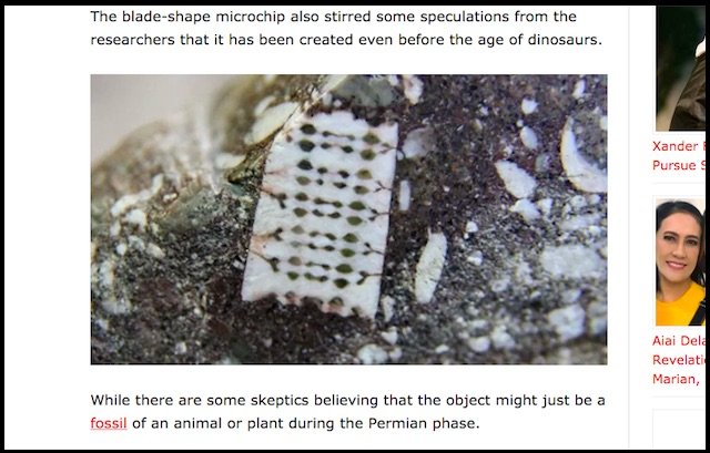 2億5千年前の「マイクロチップが埋め込まれた化石」が存在していた？古代宇宙人のテクノロジーか、結論は？の画像1