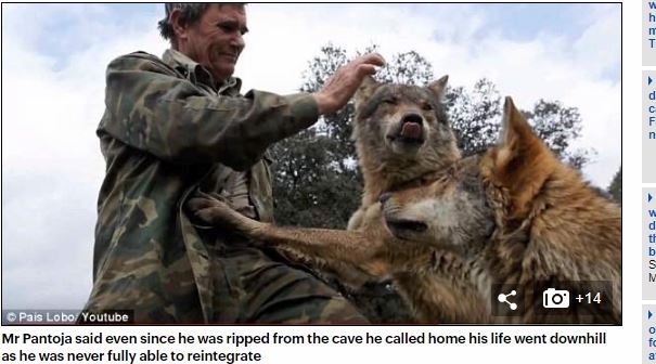 7歳から12年間もオオカミに育てられた男、人間界に戻ったことを後悔！ 「動物の方が優しい…」ウルフマンのボヤキが胸に刺さるの画像4