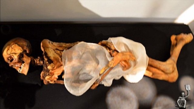 mummifiedcreature5.JPG