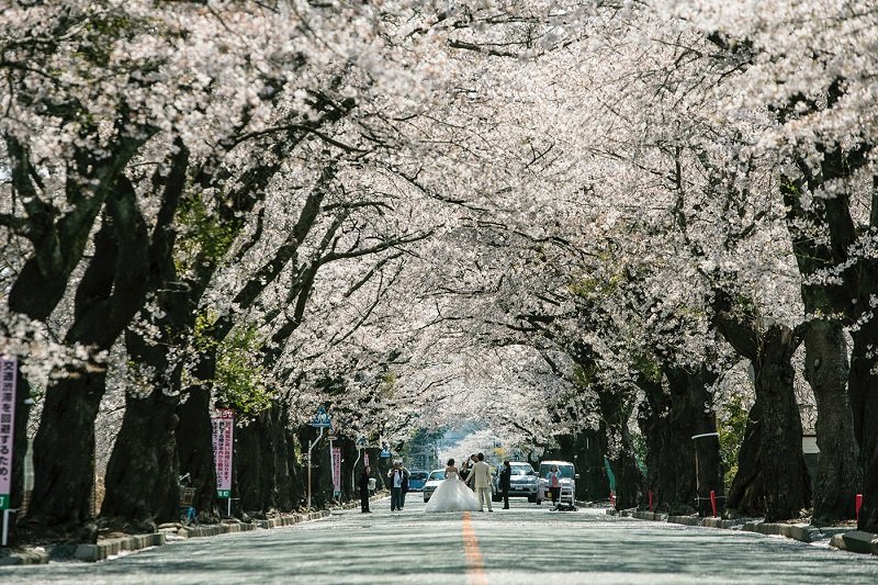 写真家・中筋純が撮り続ける「原発事故」の真実！ 時間が止まった街が廃墟化する過程…現在の福島は日本の未来の姿だ！の画像6