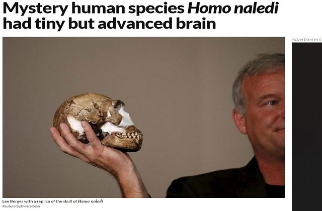 謎の小脳人類「ホモ・ナレディ」が超絶賢かったことが判明！ 脳の大きさ＝賢さが覆る！の画像1