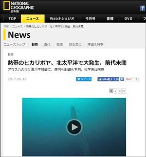 nasyojio0705.jpg