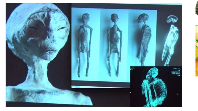 ナスカで発掘された「3本指の宇宙人ミイラ」が人類よりも爬虫類に近いことが濃厚! 古代人と共生していたレプティリアンの可能性の画像1