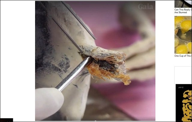 1700年前の首なし宇宙人ミイラが公開される! 研究者「エイリアンに間違いない」、伝説のリトルピープルの可能性も?=ナスカの画像2