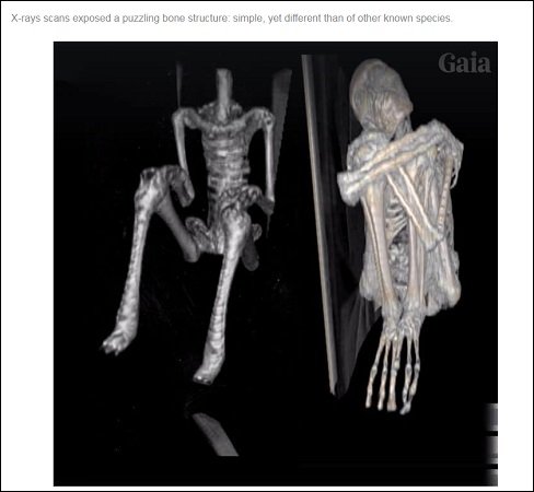 1700年前の首なし宇宙人ミイラが公開される! 研究者「エイリアンに間違いない」、伝説のリトルピープルの可能性も?=ナスカの画像4