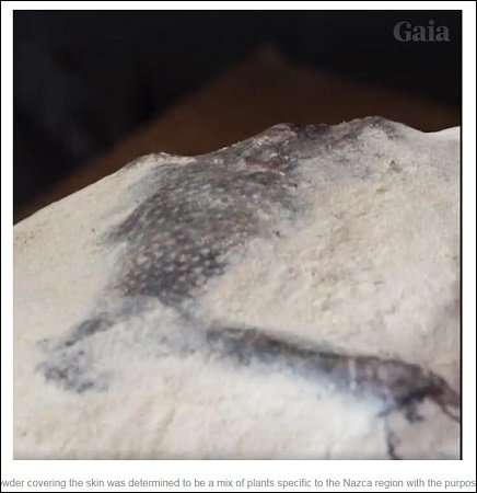 1700年前の首なし宇宙人ミイラが公開される! 研究者「エイリアンに間違いない」、伝説のリトルピープルの可能性も?=ナスカの画像3