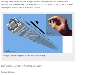 nuclearpellets120.jpg