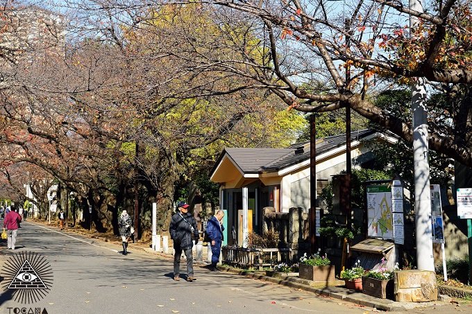 oden01.jpg