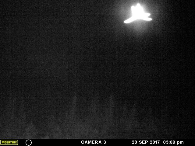 「ヒトデ型の巨大天使」がカナダ上空に出現、激撮される! 強烈に光り輝く謎の物体、触手もクッキリ、UFOか?の画像1