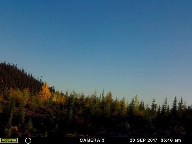「ヒトデ型の巨大天使」がカナダ上空に出現、激撮される! 強烈に光り輝く謎の物体、触手もクッキリ、UFOか?の画像4
