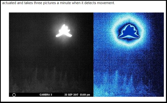 「ヒトデ型の巨大天使」がカナダ上空に出現、激撮される! 強烈に光り輝く謎の物体、触手もクッキリ、UFOか?の画像5