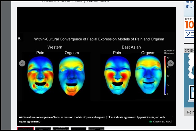 SEX絶頂の「イキ顔」はアジアと欧米で全く異なることが科学で判明! 画像で分析、オーガズムの異文化理解の画像3