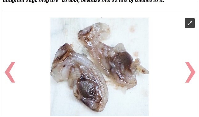 pathologist1204_p4.jpg