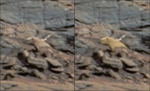 火星の大地にまた「巨大ネズミ」出現? NASA公式画像で判明、地球のネズミより悪そうなネズミの画像3