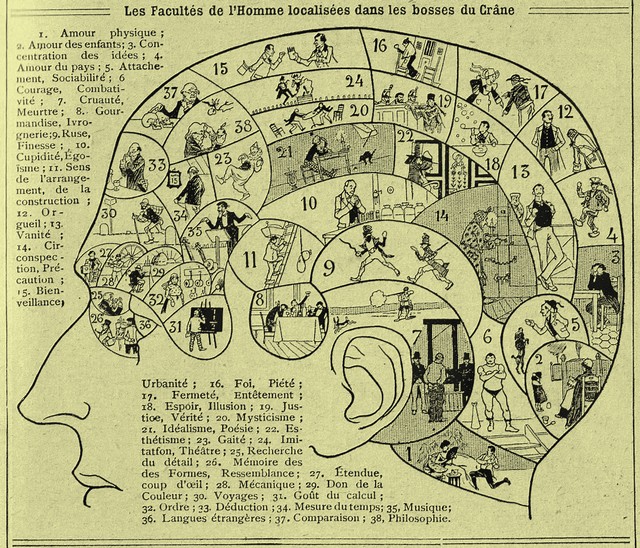 phrenologie.jpg