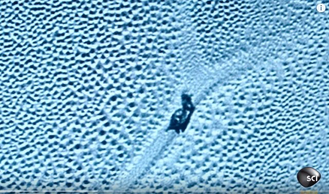 冥王星で「巨大カタツムリ」が激写される! 移動した痕跡もクッキリ、専門家も興奮「背中の殻や頭も写ってる!」の画像2
