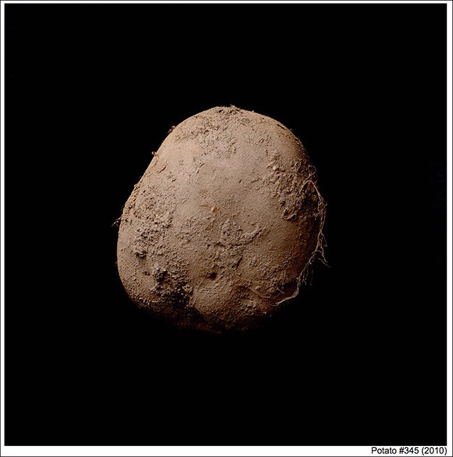 potephoto2.jpg