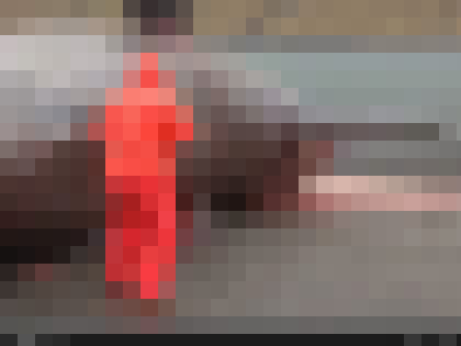 re-kujira-2.jpg