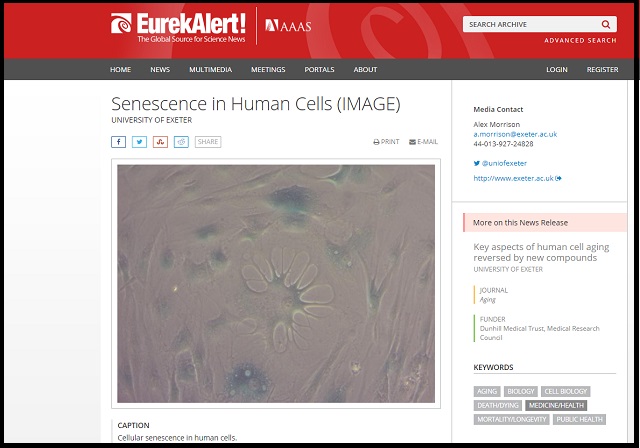 【史上初】人間の老化を逆転させる若返り物質がガチ開発される! 老化細胞が消える…驚異的リバースエイジング効果を確認!の画像2