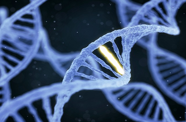 人間の老化を逆転させる若返り物質が開発される! 老化細胞が消える…驚異的リバースエイジング効果の可能性の画像4