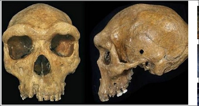 30万年前のローデシア人の頭蓋骨に不可解な穴! スナイパーにこめかみを撃ち抜かれた可能性も?の画像1