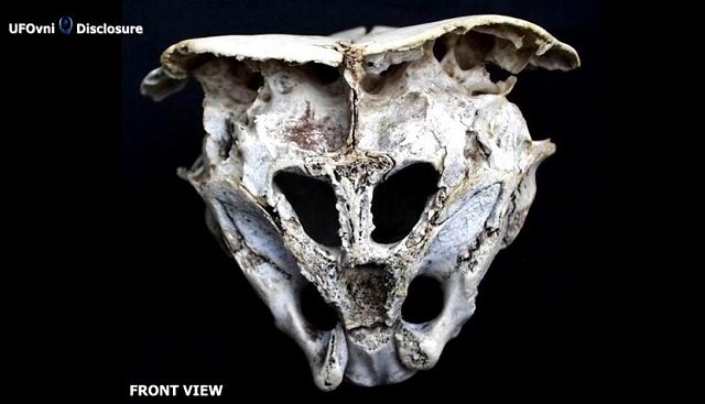 奇怪すぎる ロドピの頭蓋骨 の謎 大学教授による検証も 正体不明 古代文明の遺伝子操作か ブルガリア Tocana
