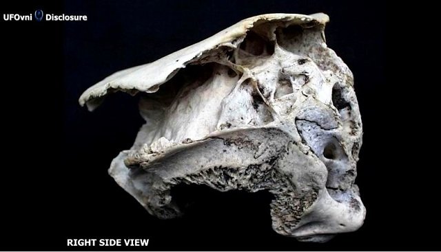 奇怪すぎる ロドピの頭蓋骨 の謎 大学教授による検証も 正体不明 古代文明の遺伝子操作か ブルガリア Tocana