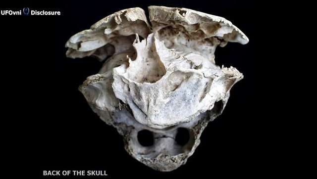 2ページ目 奇怪すぎる ロドピの頭蓋骨 の謎 大学教授による検証も 正体不明 古代文明の遺伝子操作か ブルガリア Tocana