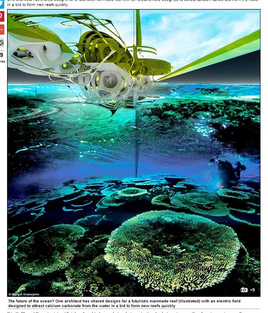 近未来ハイテク装備満載!?　SF風の「人工サンゴ礁」計画が進行中！の画像1